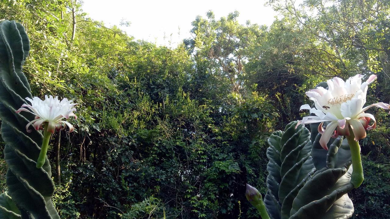 Posada Camboata Aristóbulo del Valle Zewnętrze zdjęcie