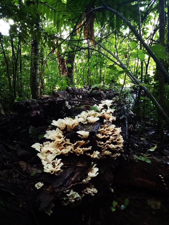 Posada Camboata Aristóbulo del Valle Zewnętrze zdjęcie