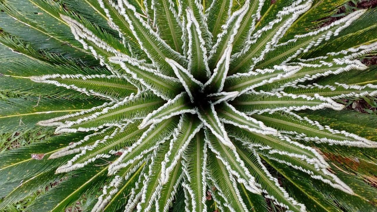 Posada Camboata Aristóbulo del Valle Zewnętrze zdjęcie